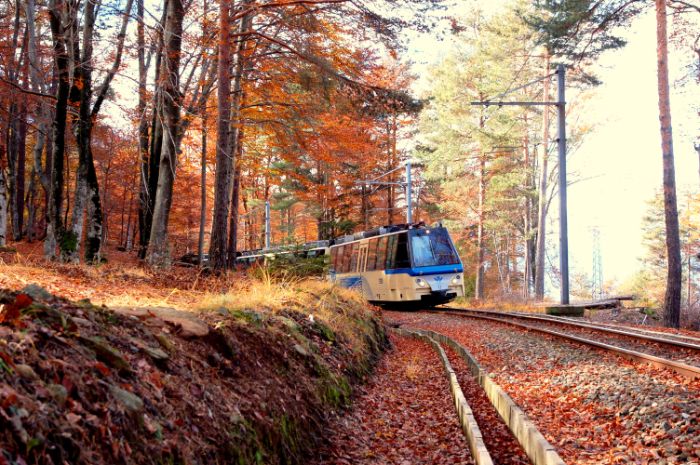 Explore Piedmont’s stunning autumn scenery on the “Treno del Foliage”. Experience a captivating journey through Italy's hidden gems, enveloped in vibrant autumn colors. Don’t miss this breathtaking, off-the-beaten-path adventure through undiscovered Italian landscapes!