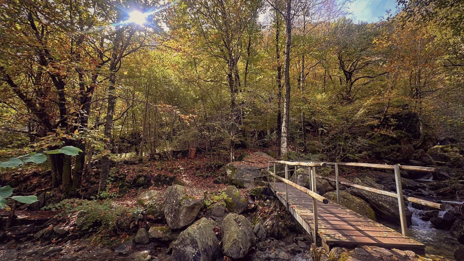 A woodland bridge: time off the train is part of the autumn experience.