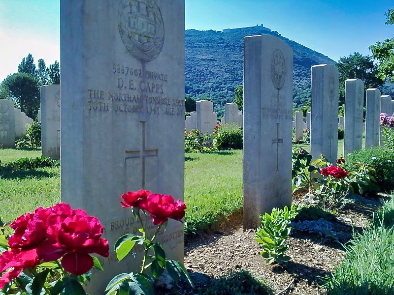 Commonwealth War Cemetery at Cassino with rows of headstones and red roses, Montecassino Abbey visible on the hill in the distance.