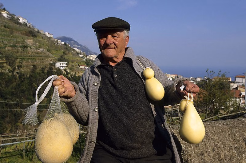 Local cheesemaker in a flat cap holding pear-shaped Provolone del Monaco cheeses on mountain terraces above the Amalfi Coast, with the sea in the background.