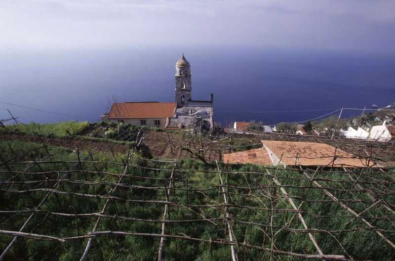 Pergola-trained vineyard terraces above Praiano with a small hillside chapel overlooking the Tyrrhenian Sea.