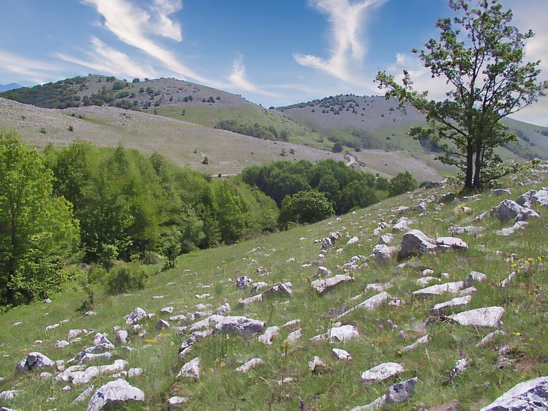 Panoramic view of the Valle delle Orchidee in Sassano, Cilento, with limestone slopes and spring meadows.