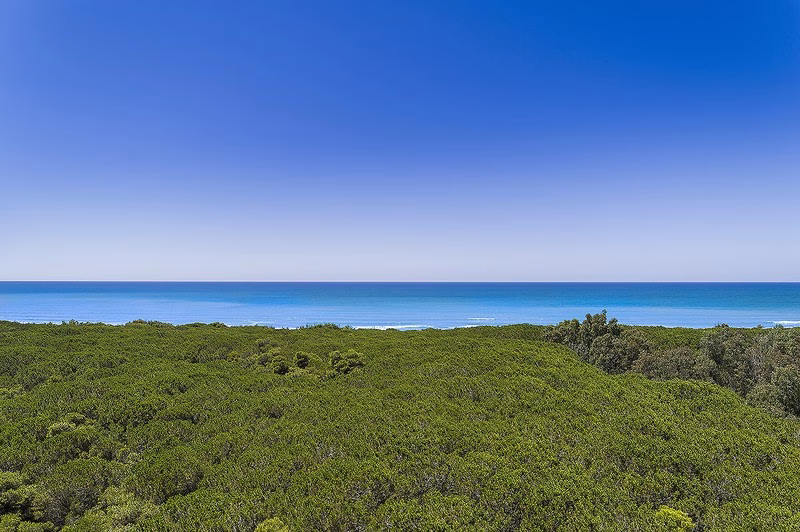 Aerial view of the Paestum coastline showing the vast pine forest meeting the turquoise Tyrrhenian Sea under a clear blue sky