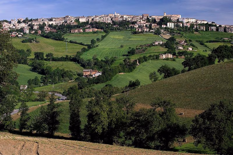 Hilltop town overlooking rolling green fields in northern Le Marche