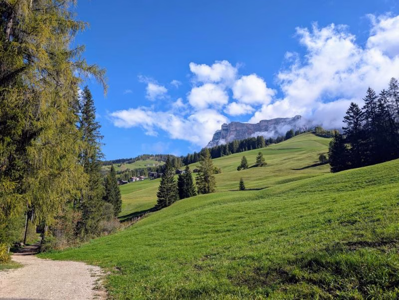 Gentle walking path and alpine meadows in Alta Badia, Dolomites, Italy
