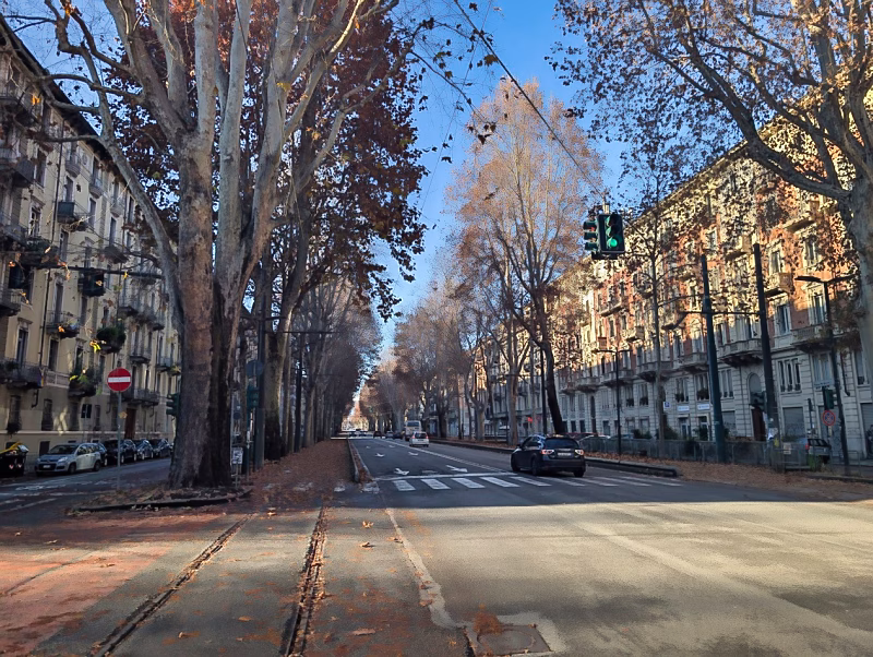 Tree-lined boulevard in Vanchiglia, Turin, showing late-19th-century residential buildings