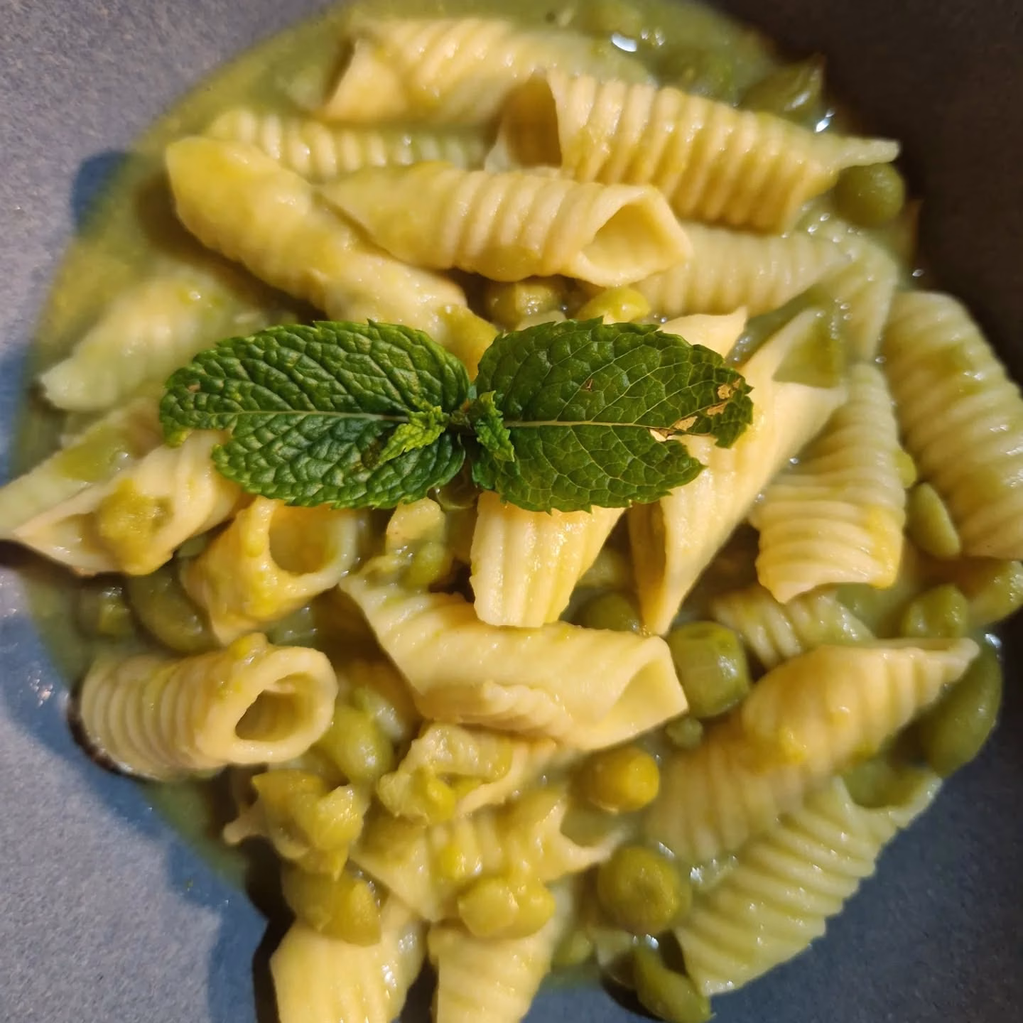 A freshly prepared pasta dish during a food experience with Giusi