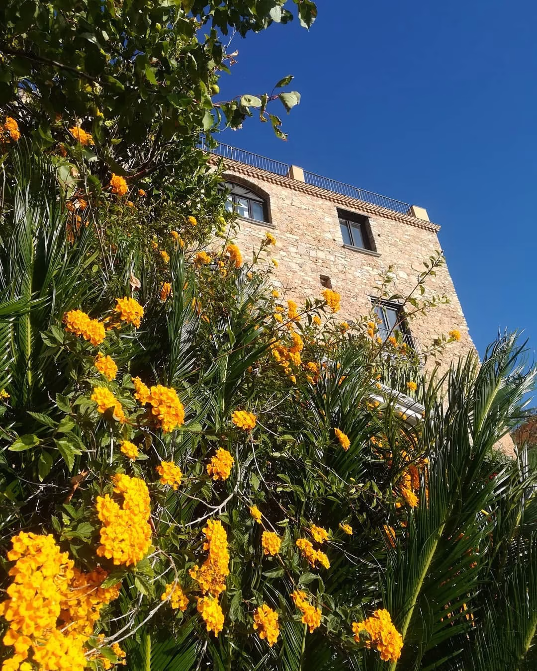 Marulivo Hotel in the medieval village of Pisciotta