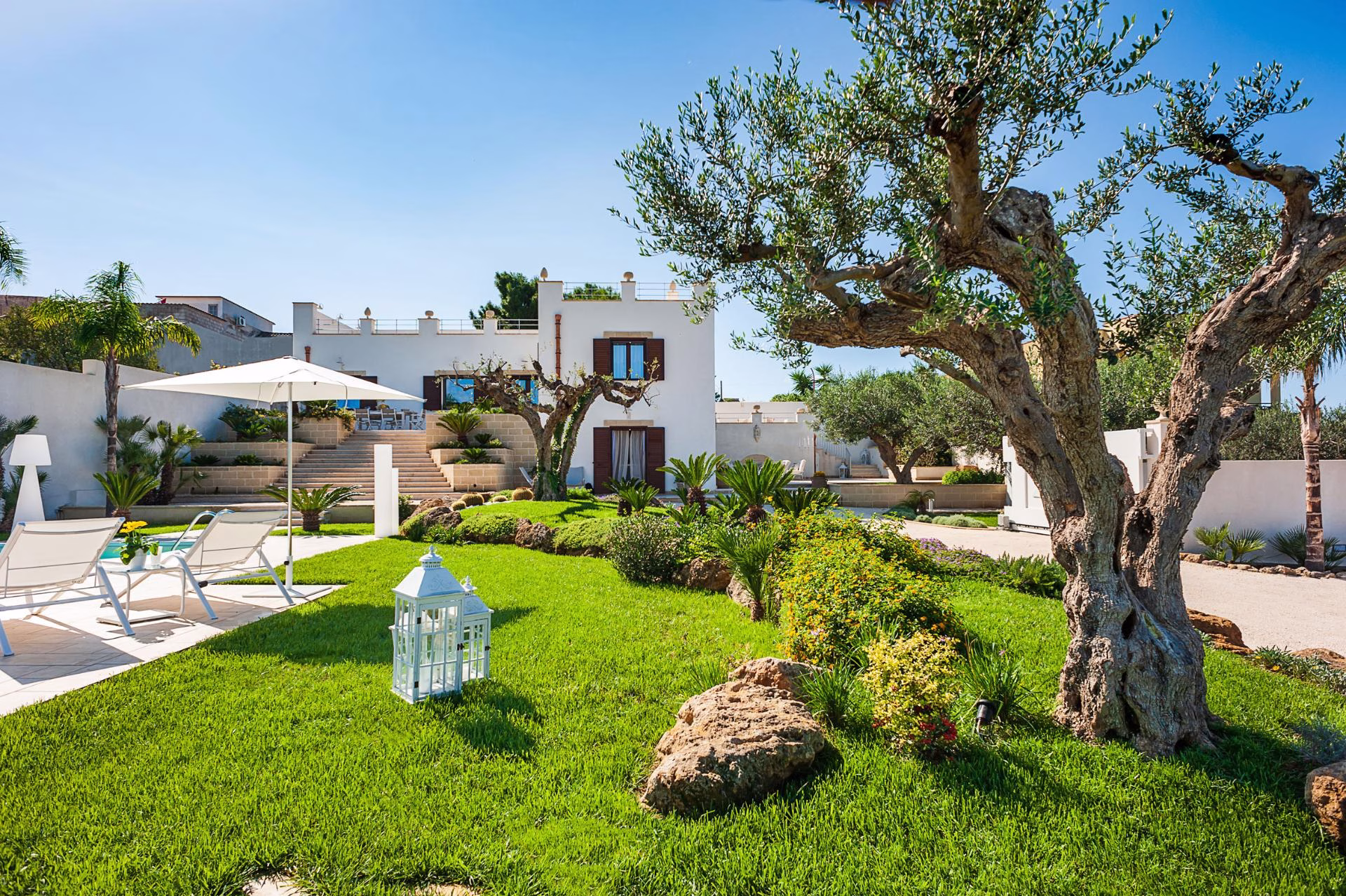 Olive trees and Mediterranean garden at Villa Pina