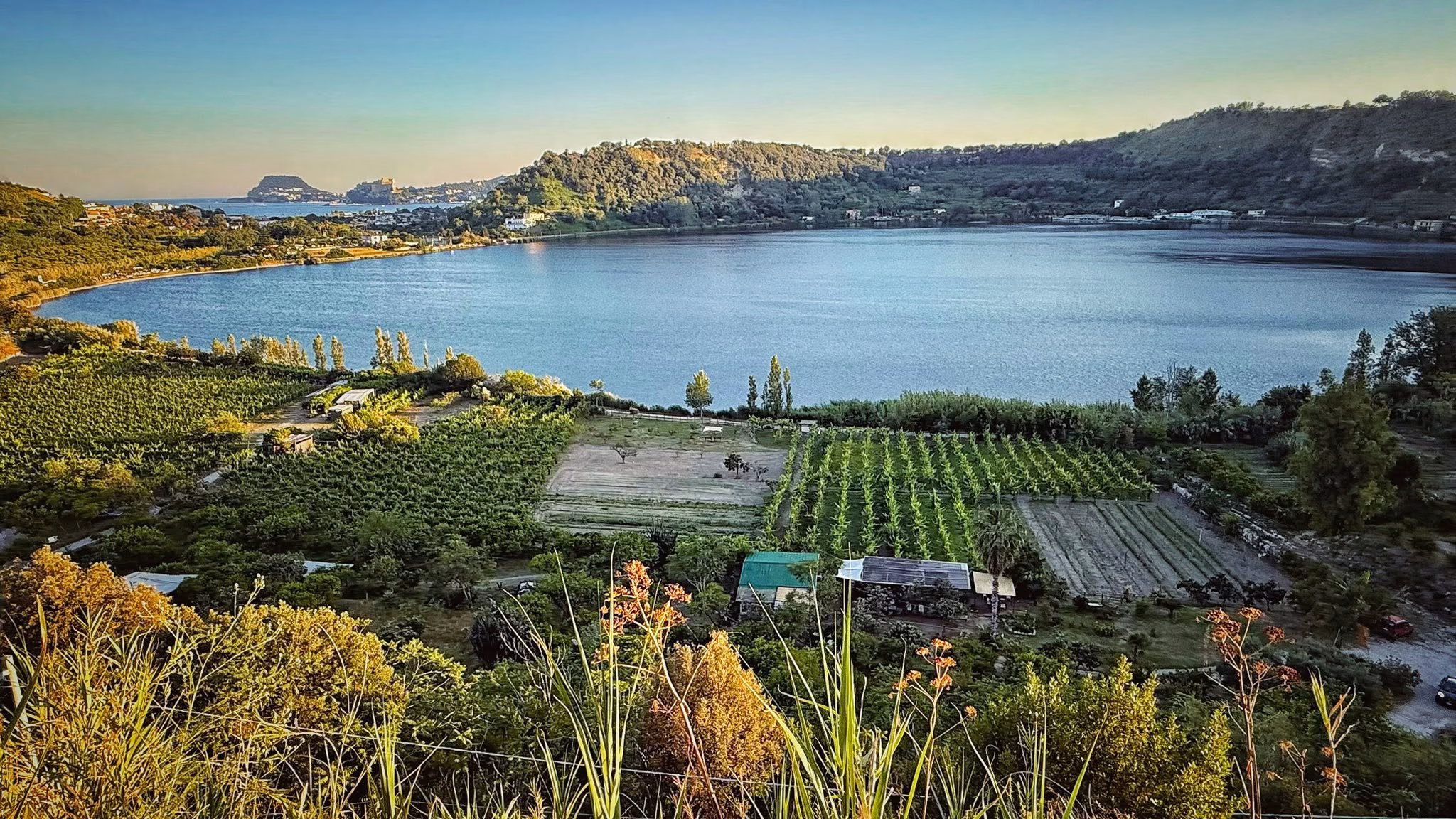Lake Avernus surrounded by vineyards and green crater slopes