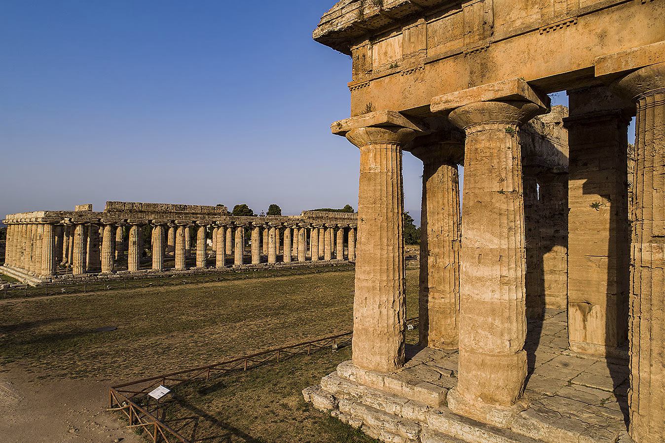 Doric columns of Paestum’s Greek temples in the archaeological park