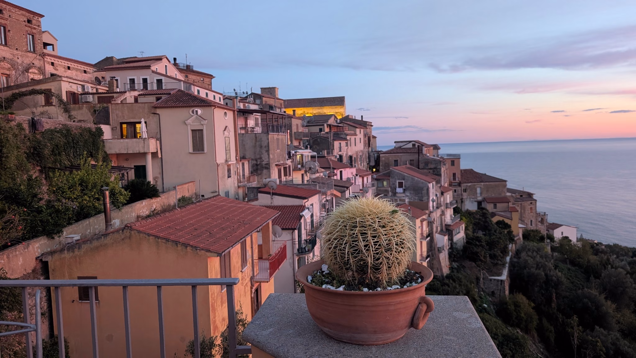 A potted cactus overlooking terracotta rooftops and the sea beneath a soft pink evening sky