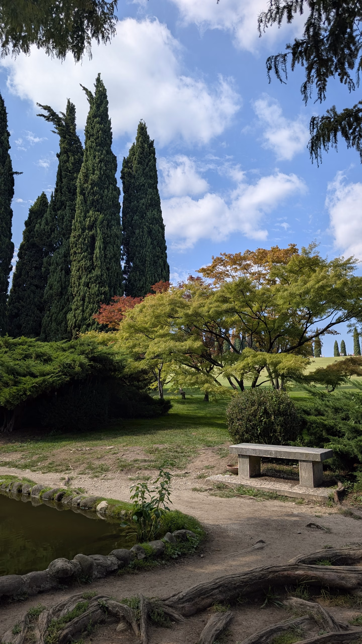 Stone bench beside a pond with cypress trees and ornamental planting at Sigurtà