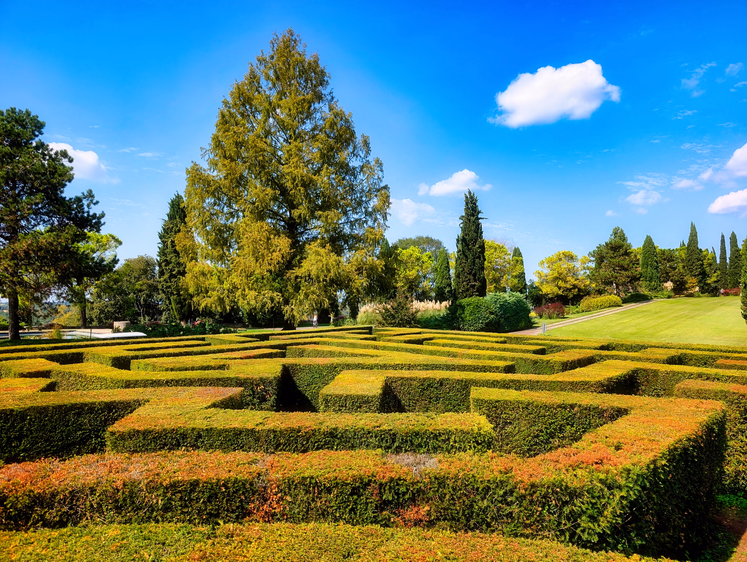 Geometric clipped hedges and trees at Parco Giardino Sigurtà