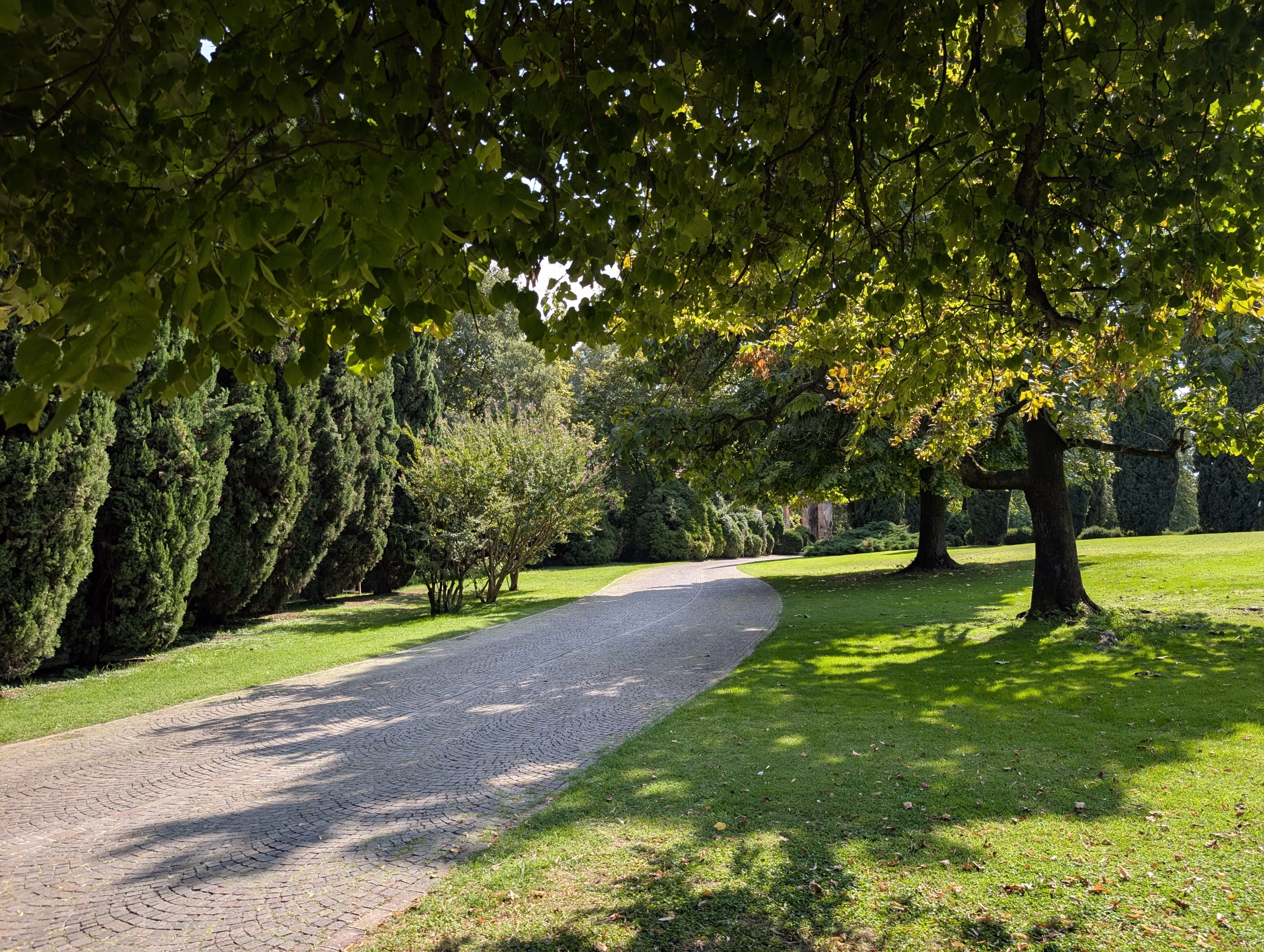 Wide path beneath shady trees in Parco Giardino Sigurtà