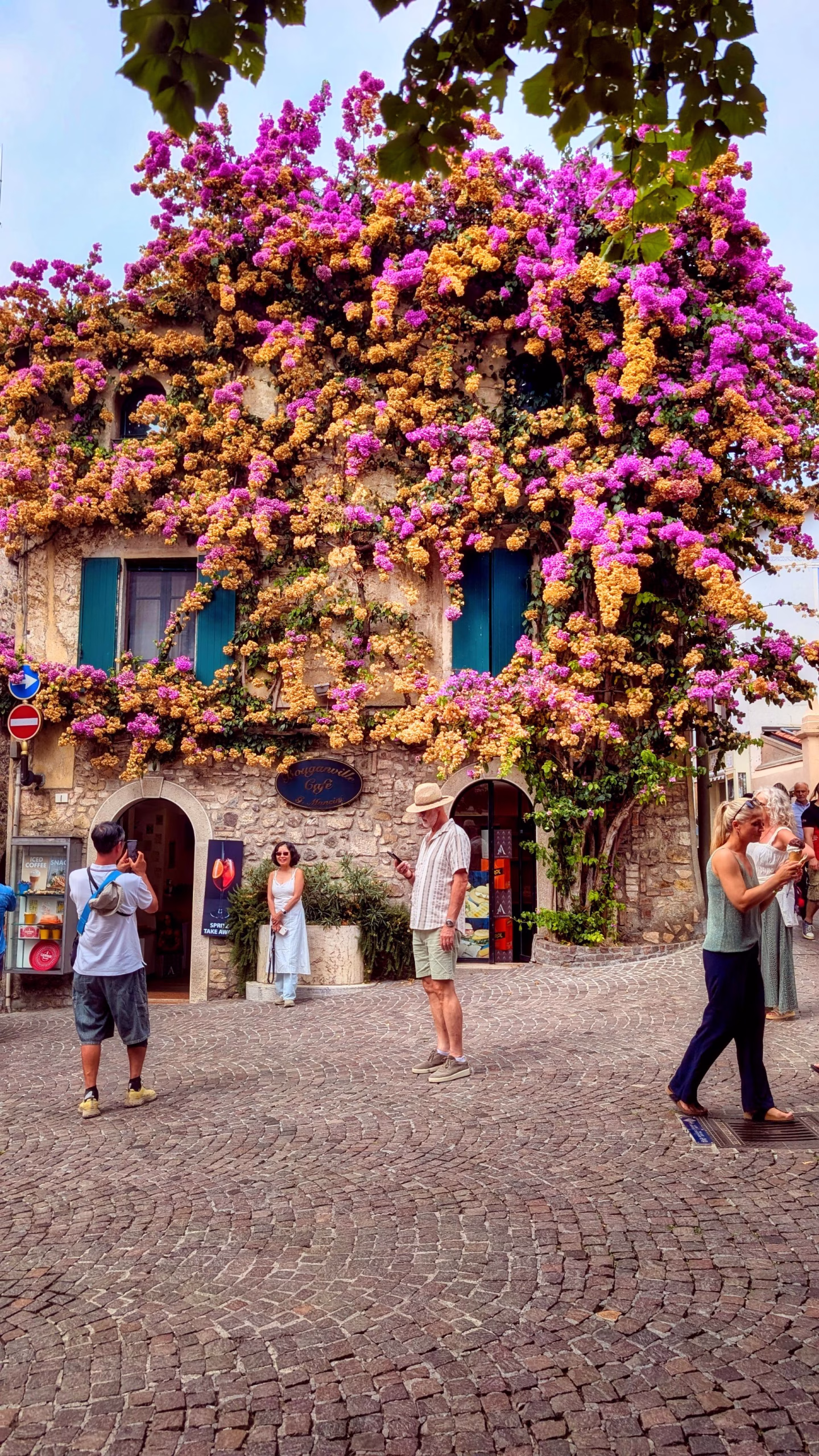Bougainvillea adds colour to a café in the old town.